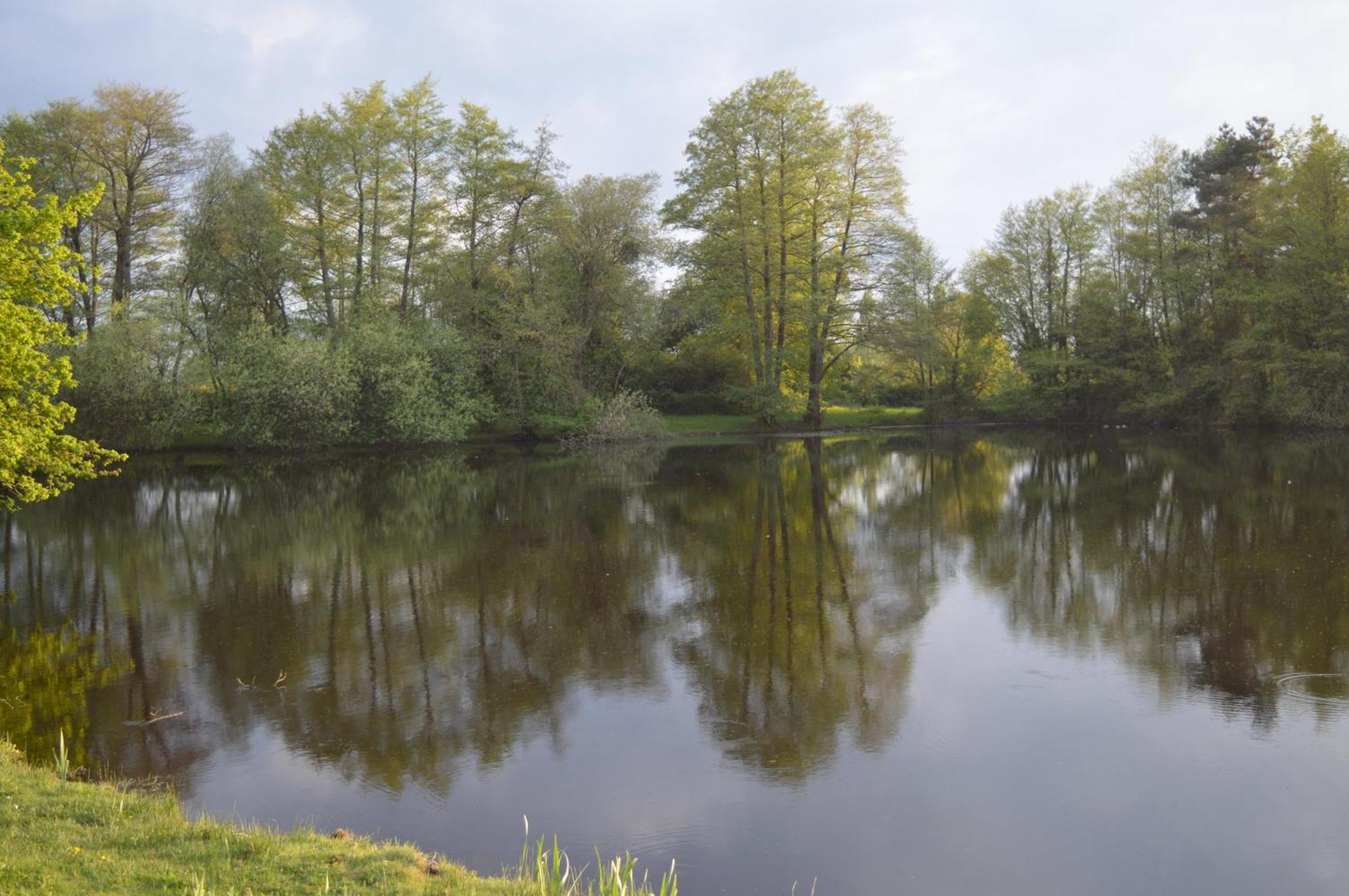 Mobil Home Sainte-Reine-de-Bretagne 外观 照片